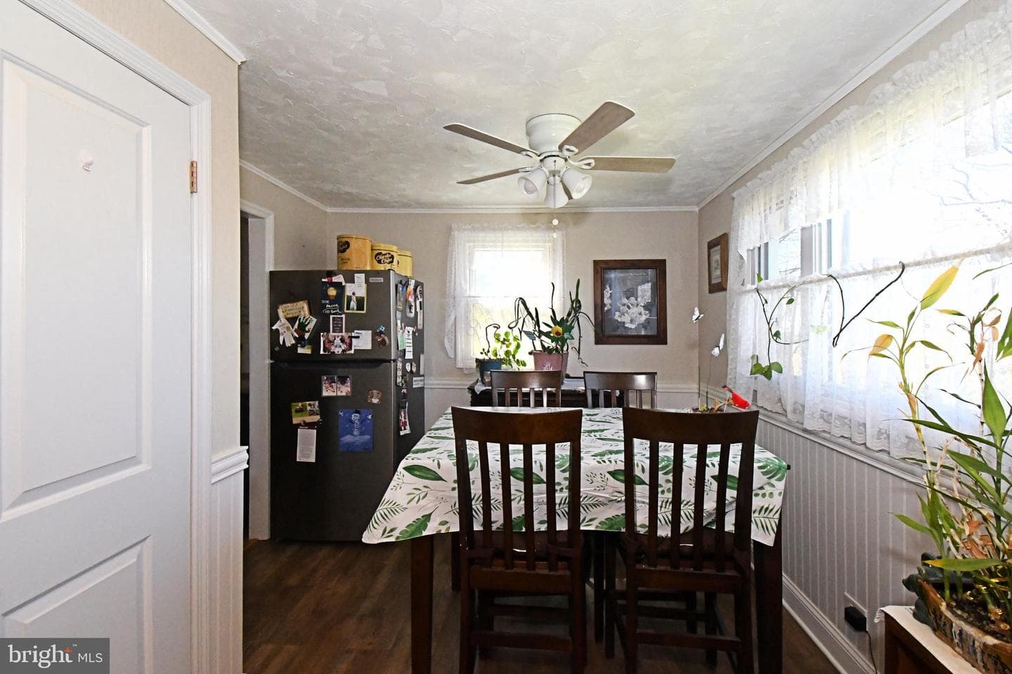 511 Freehall Street photo 14