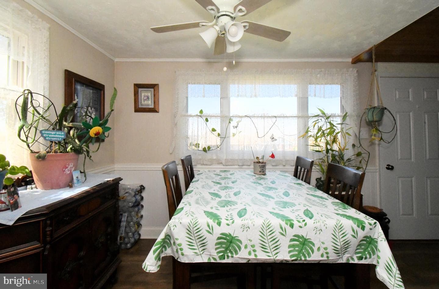 511 Freehall Street photo 15