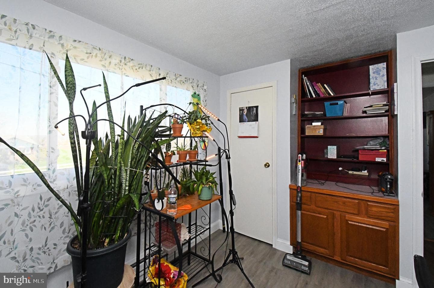 511 Freehall Street photo 25