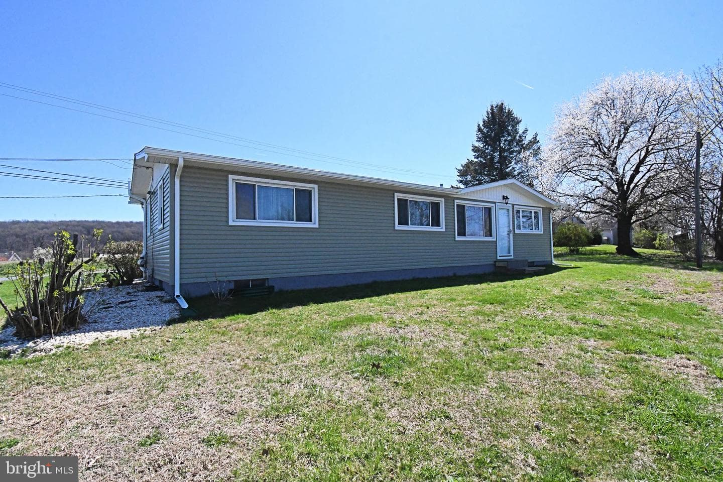 511 Freehall Street photo 51