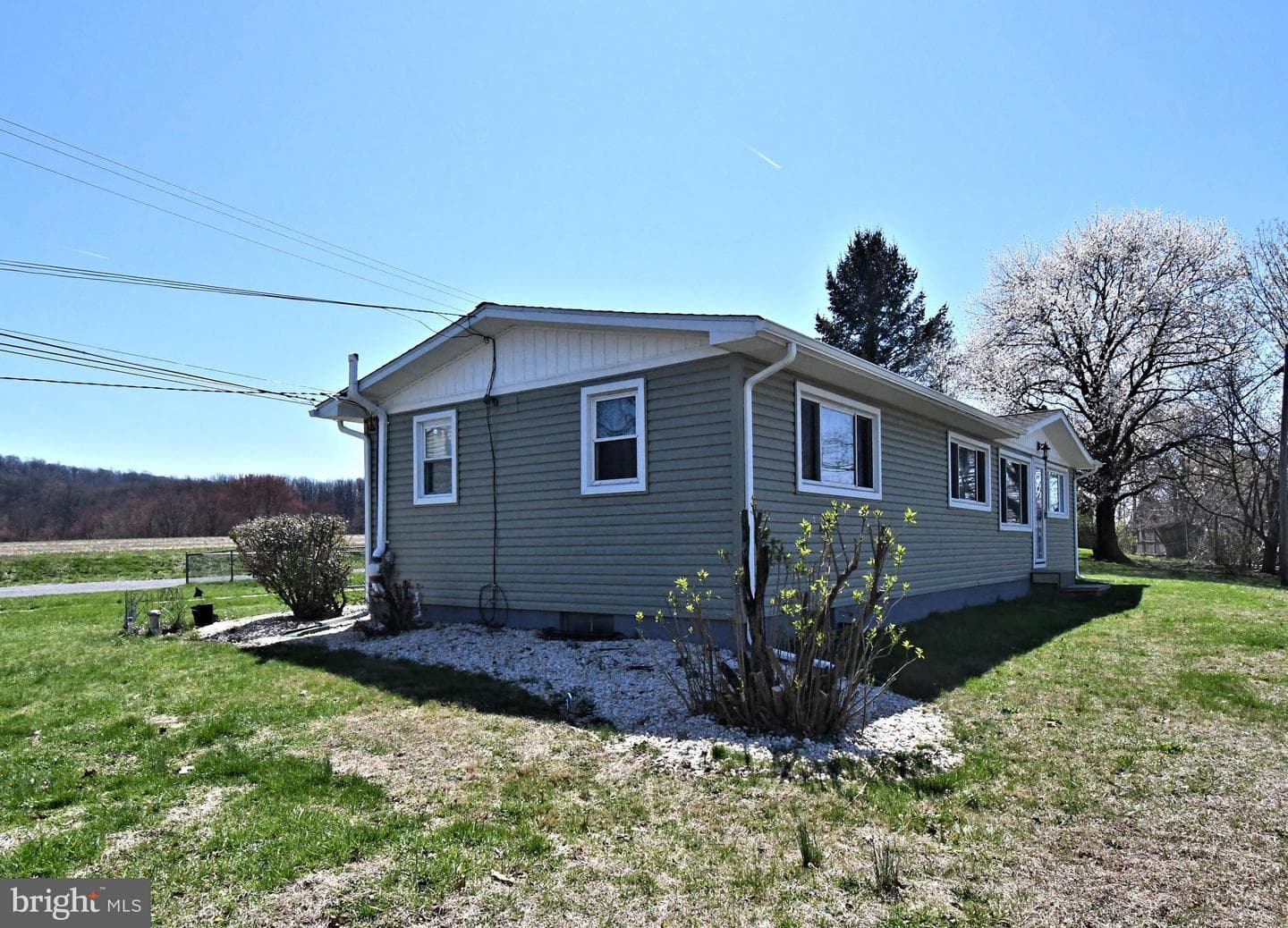 511 Freehall Street photo 6