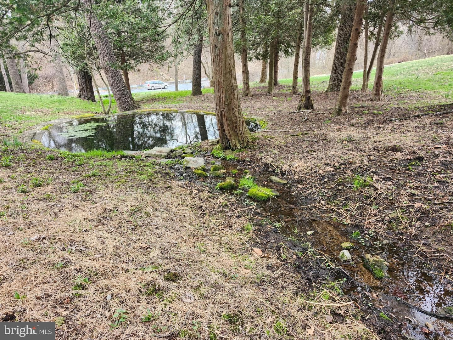 444 N Heidelberg Road photo 44