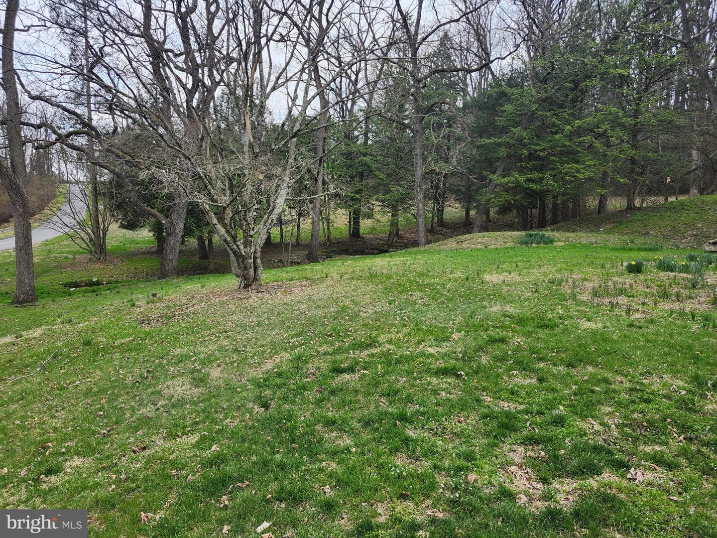444 N Heidelberg Road photo 49