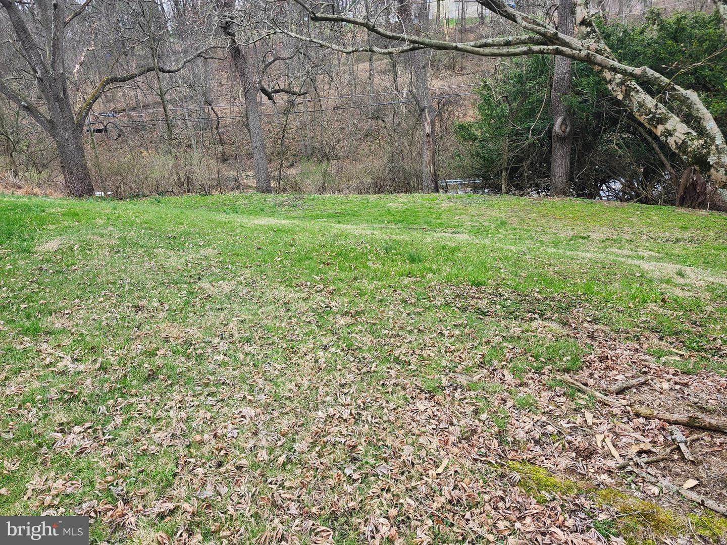 444 N Heidelberg Road photo 50