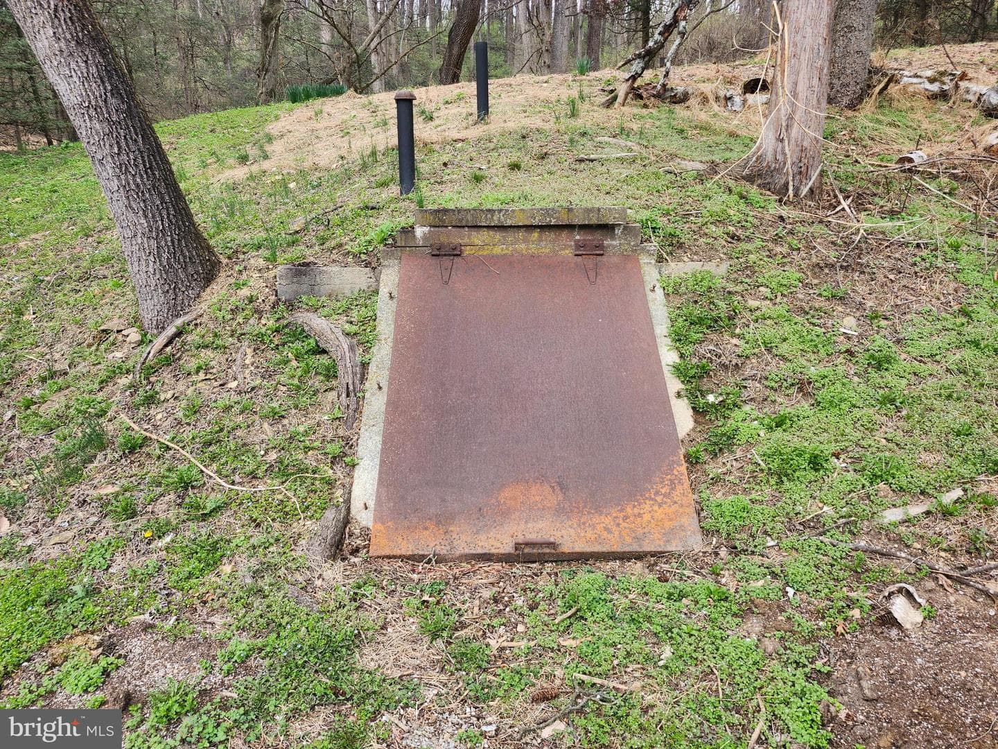 444 N Heidelberg Road photo 52