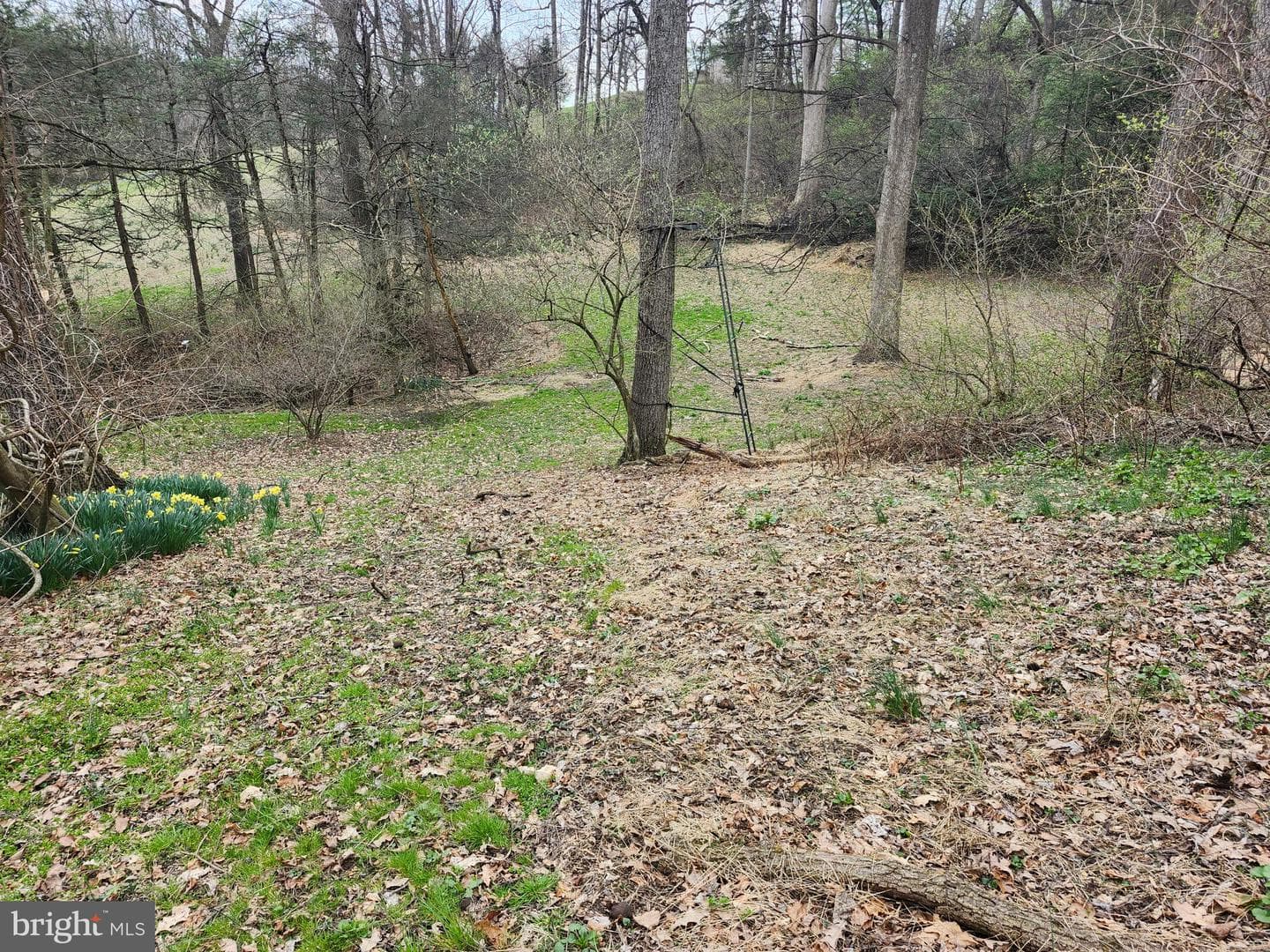 444 N Heidelberg Road photo 55
