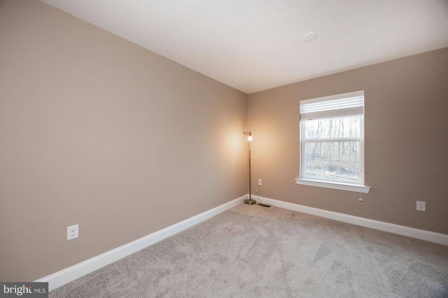 318 Douglass Drive photo 23