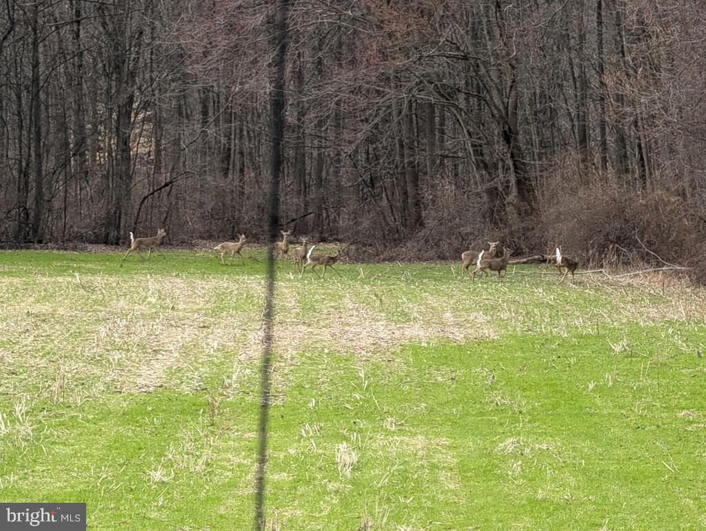 210 Alleghenyville Road photo 87