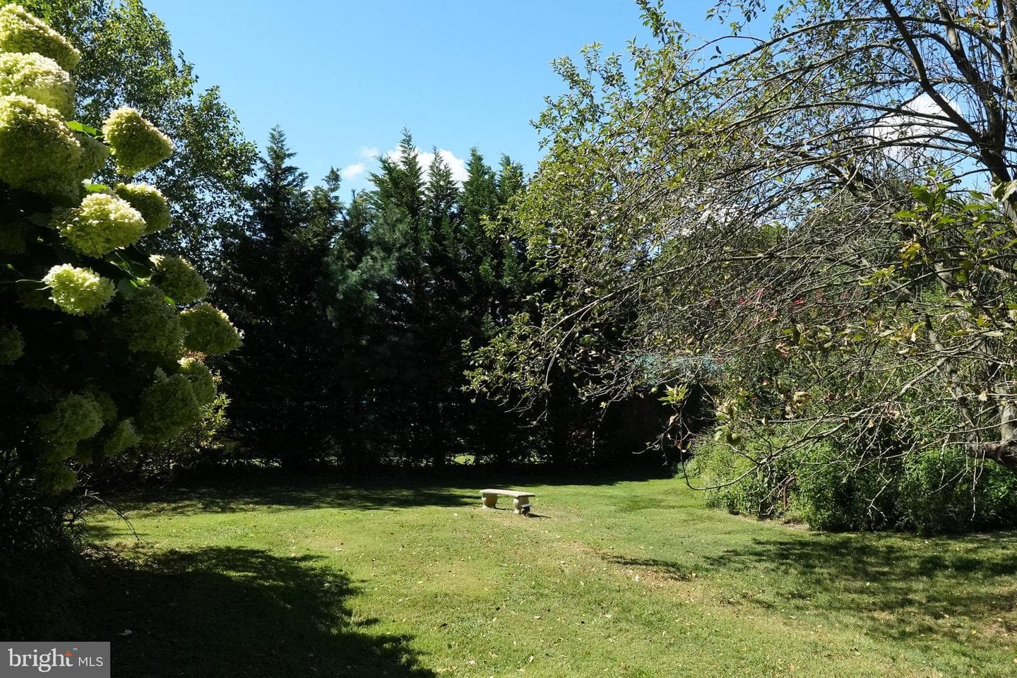 2571 Hill Road photo 9