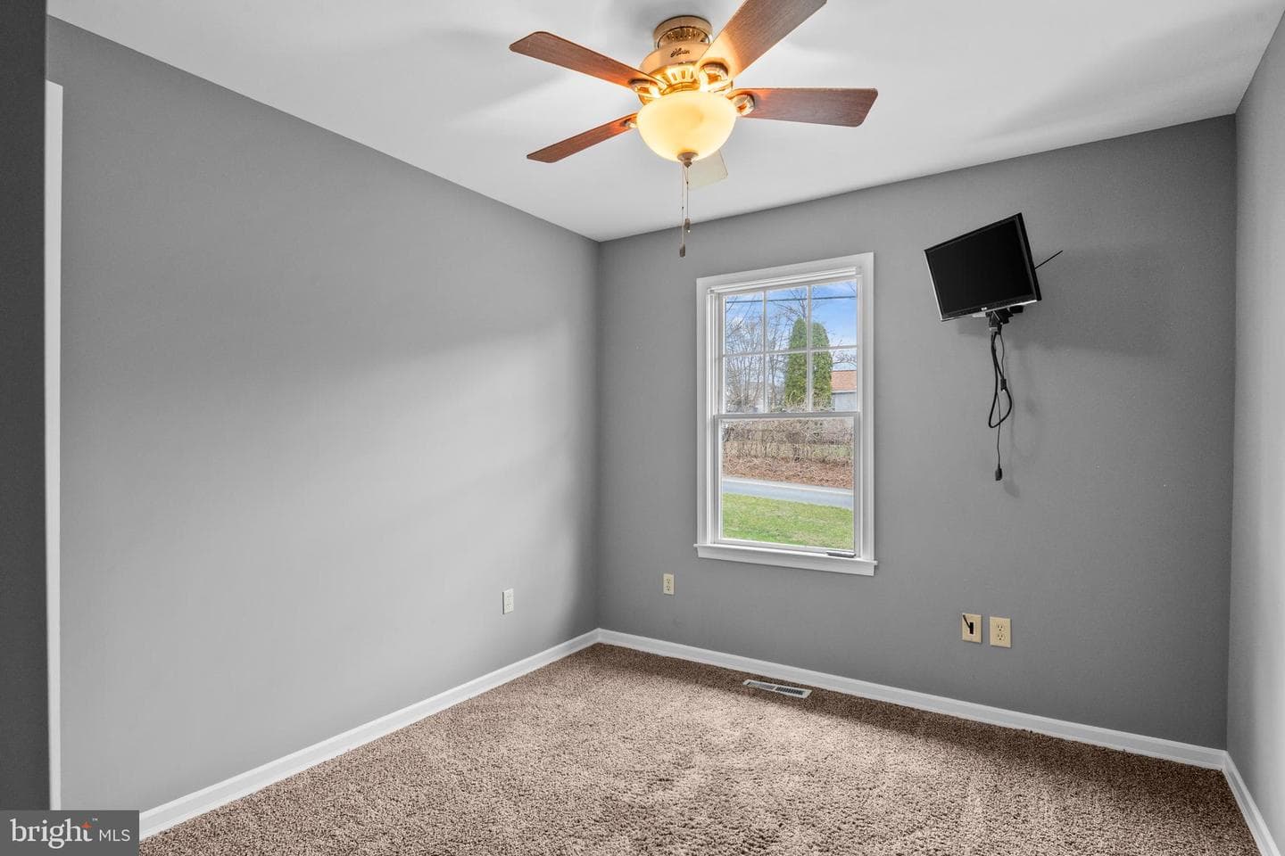 9 Alsace Avenue photo 28