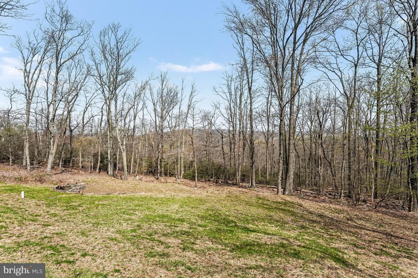 33 Edgewood Drive photo 43