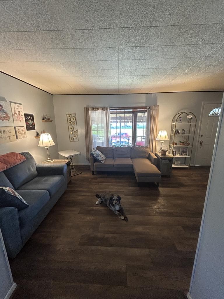 206 Hendel Street photo 9