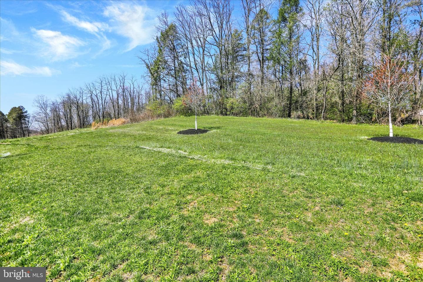 217 Merifield Court photo 35