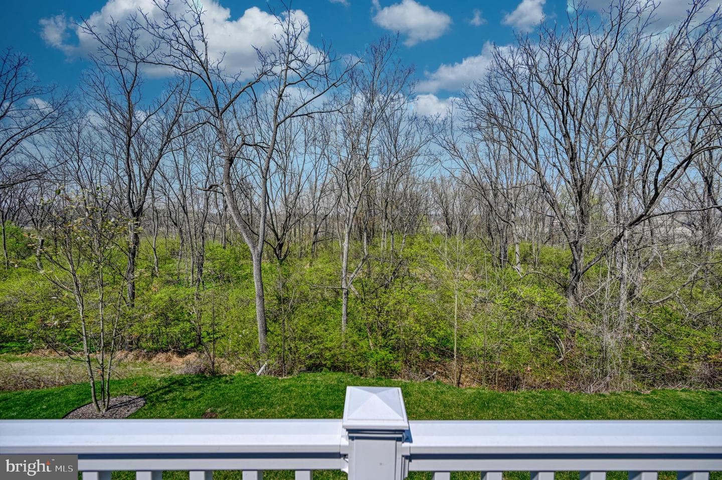 62 Regina Drive photo 39