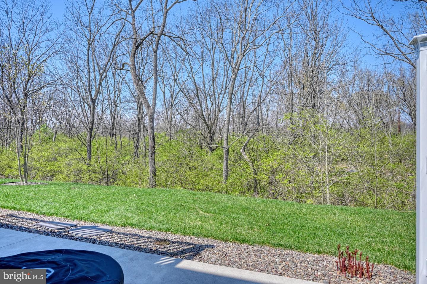 62 Regina Drive photo 42