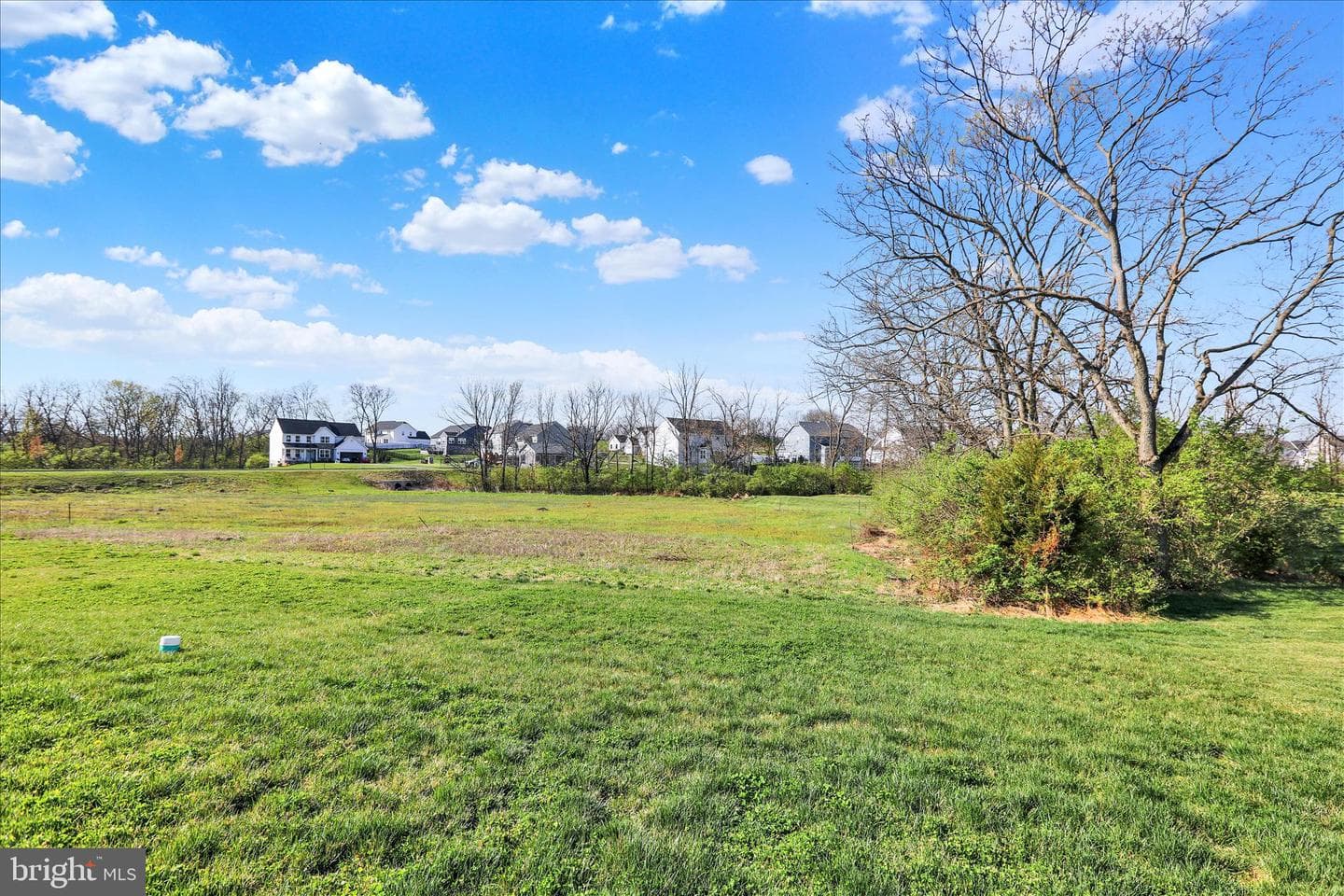 114 Teaberry Court photo 42