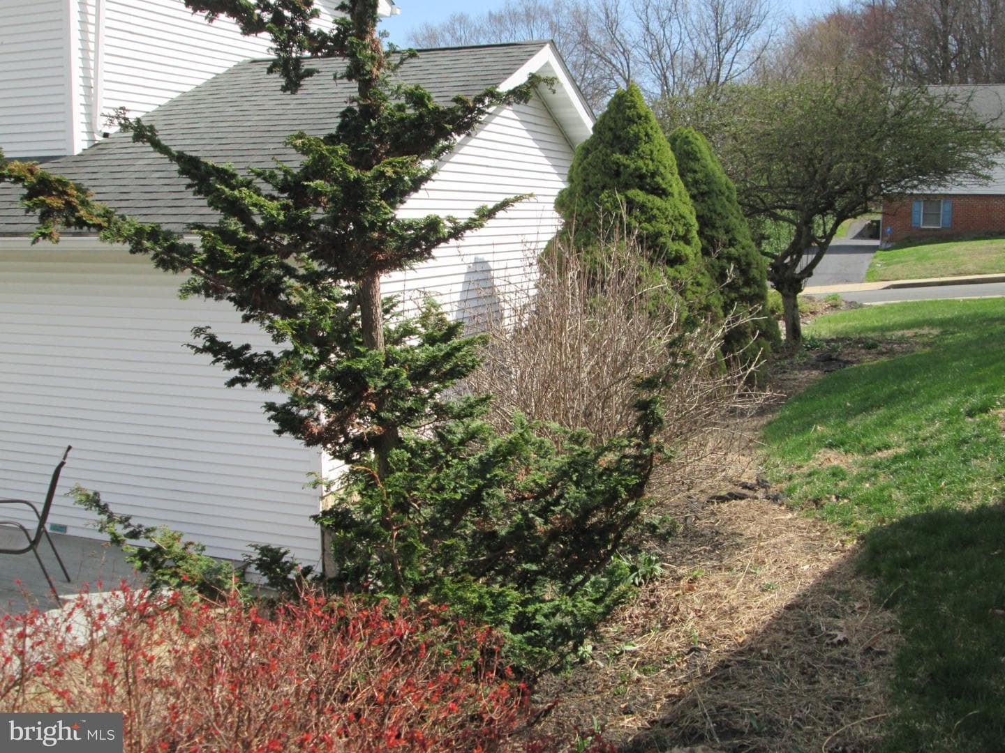113 Nickel Drive photo 5
