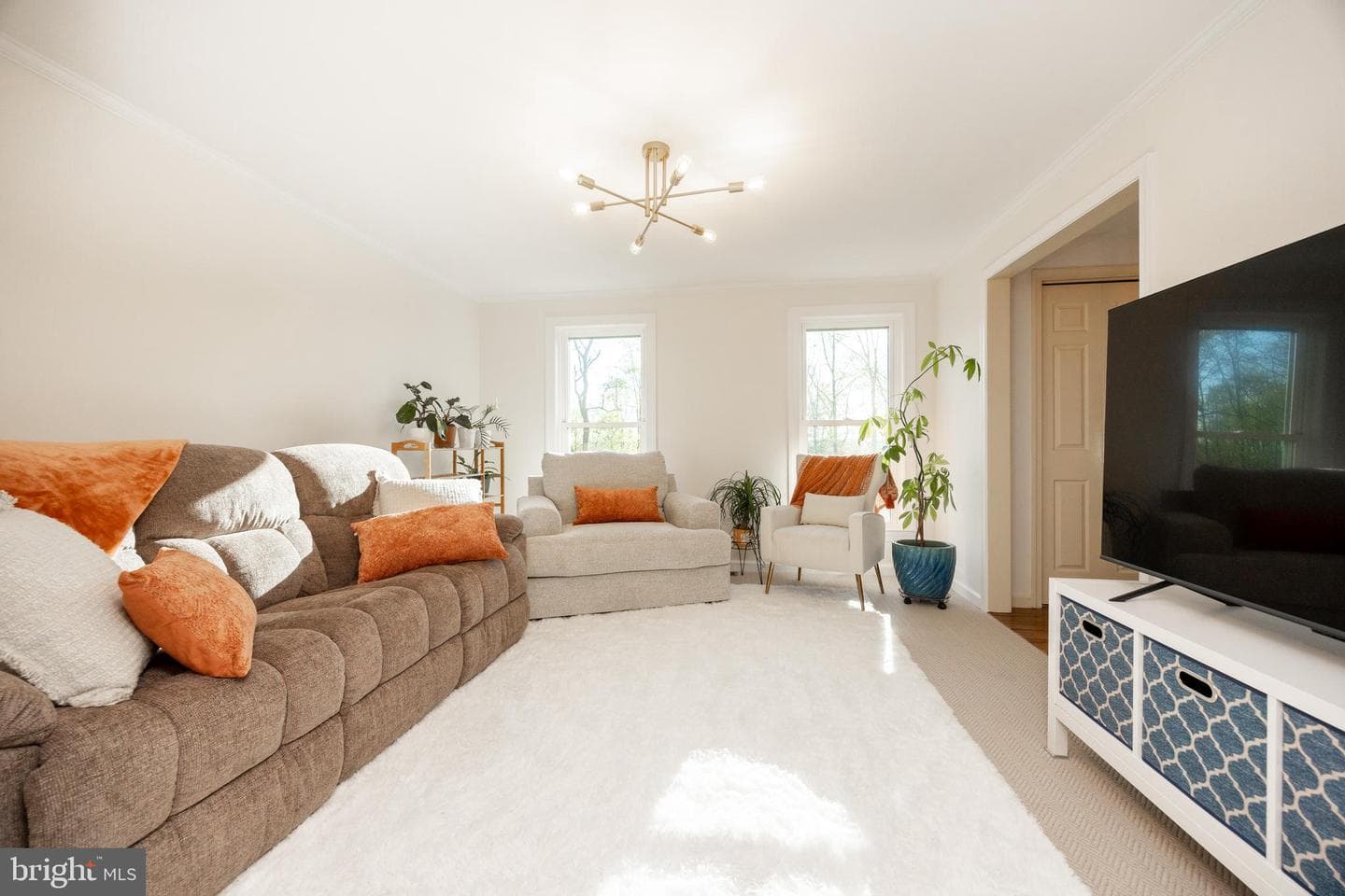 49 Park Road photo 17