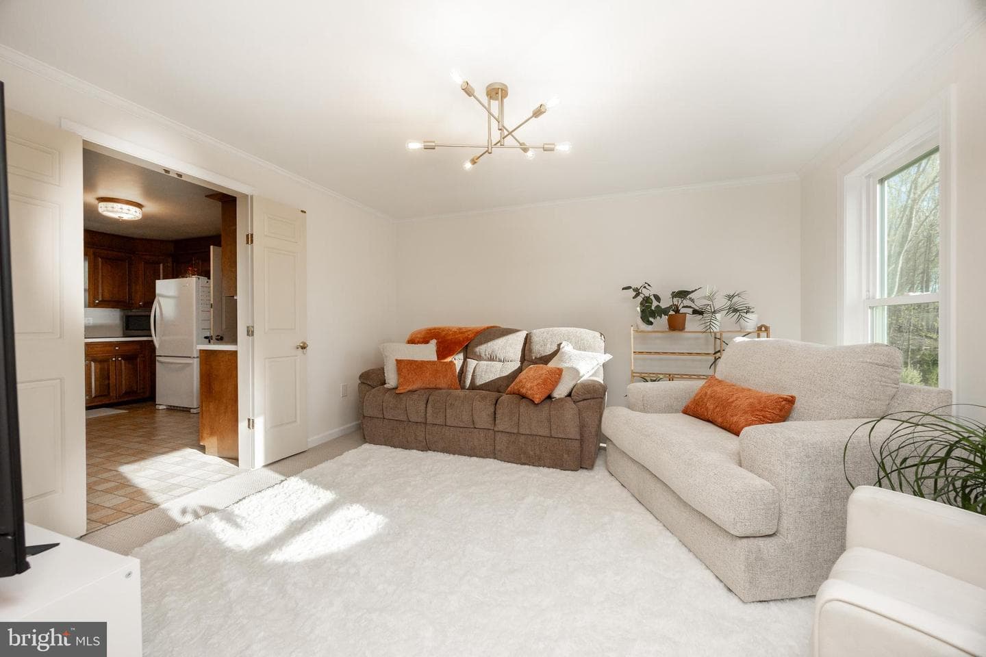 49 Park Road photo 18