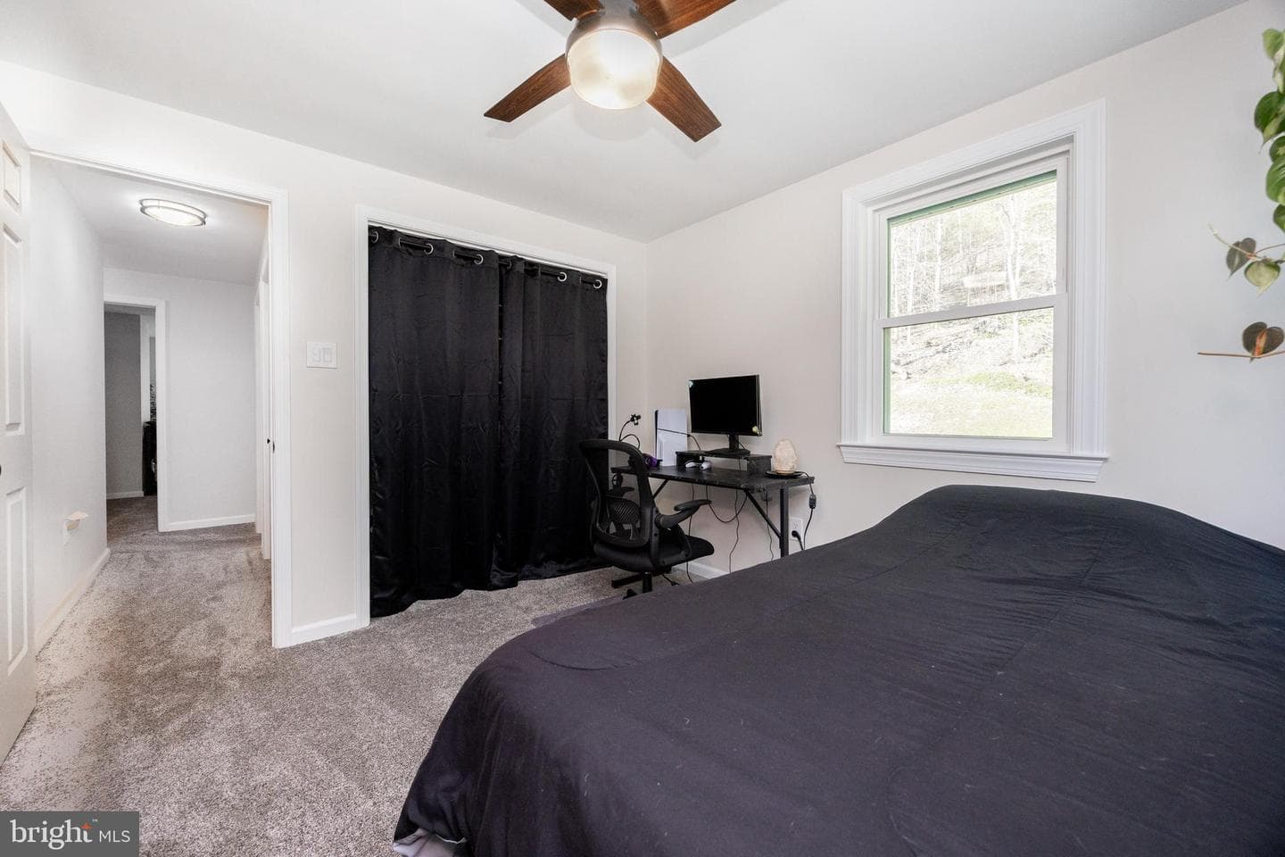 49 Park Road photo 28
