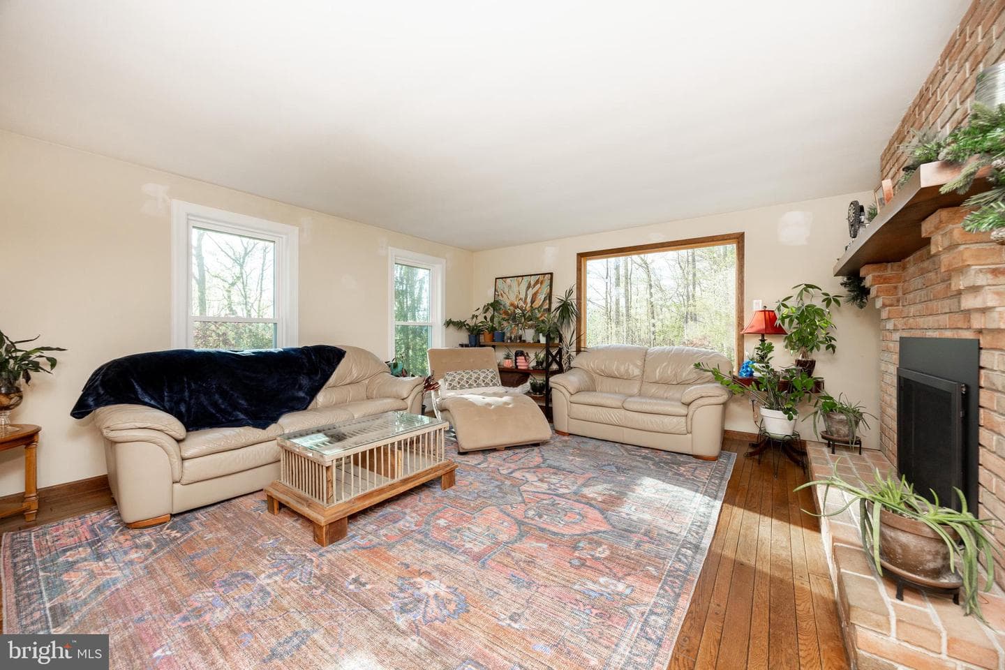 49 Park Road photo 5
