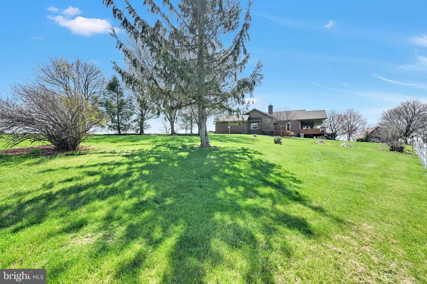 57 Arboretum Road photo 56