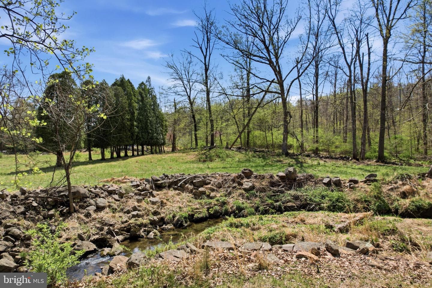 238 Kemp Road photo 41