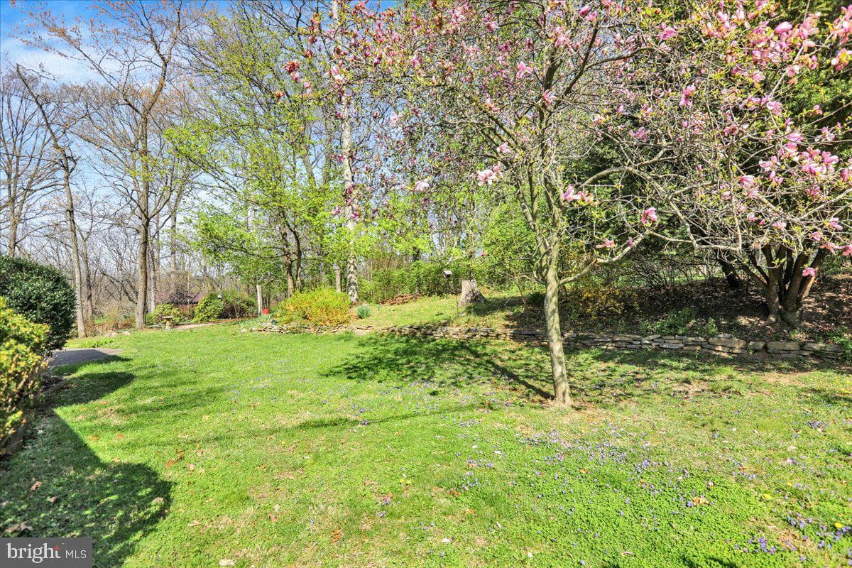 12 Moser Lane photo 9