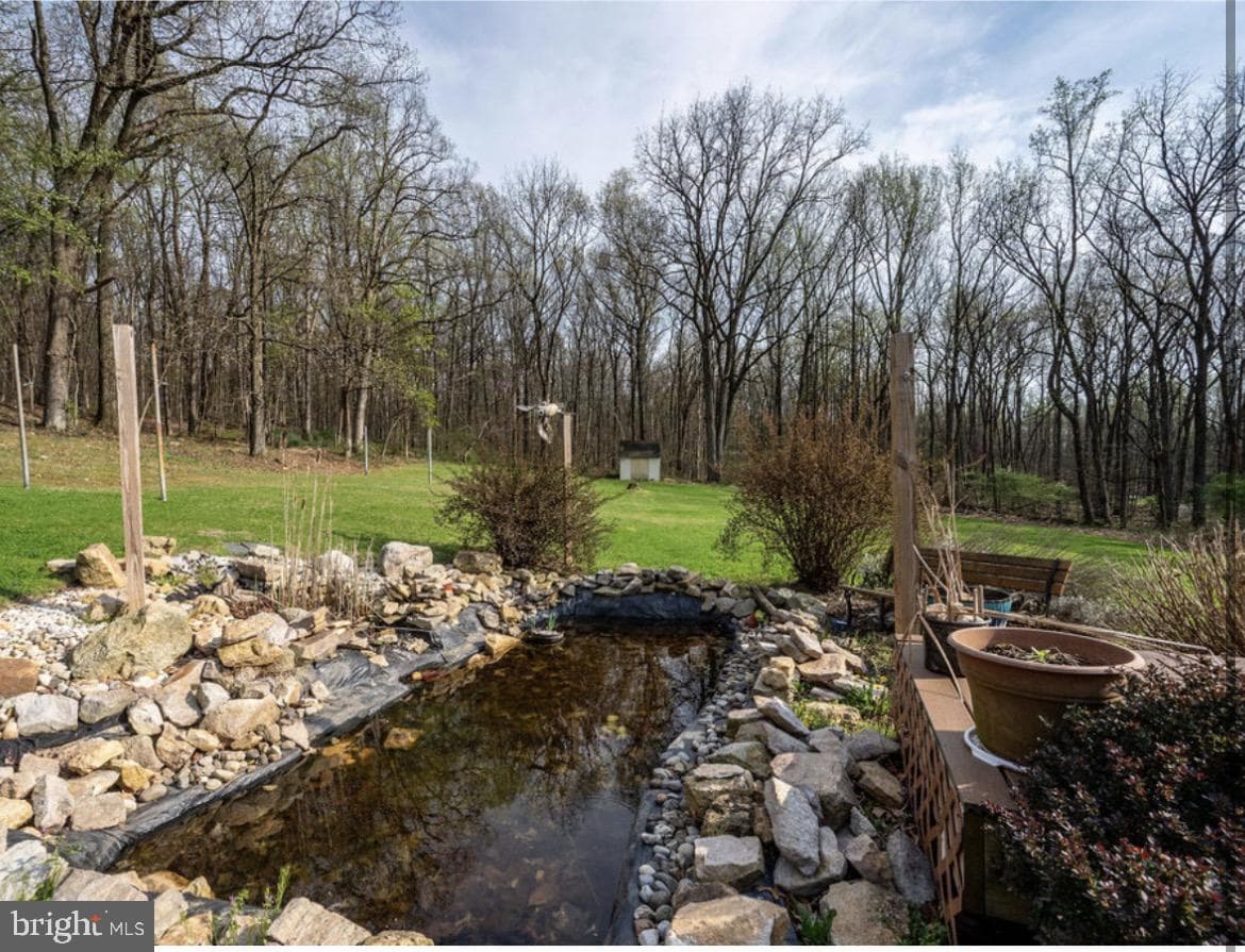 75 Clemens Road photo 11