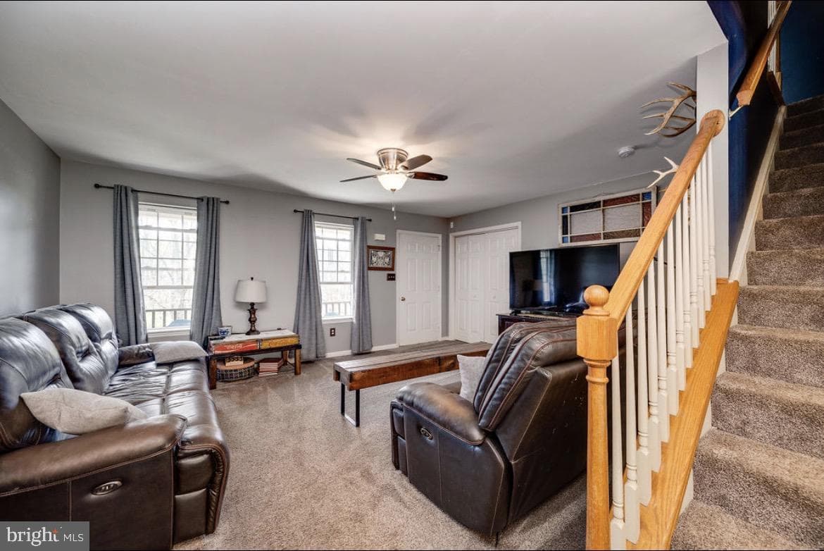 75 Clemens Road photo 20