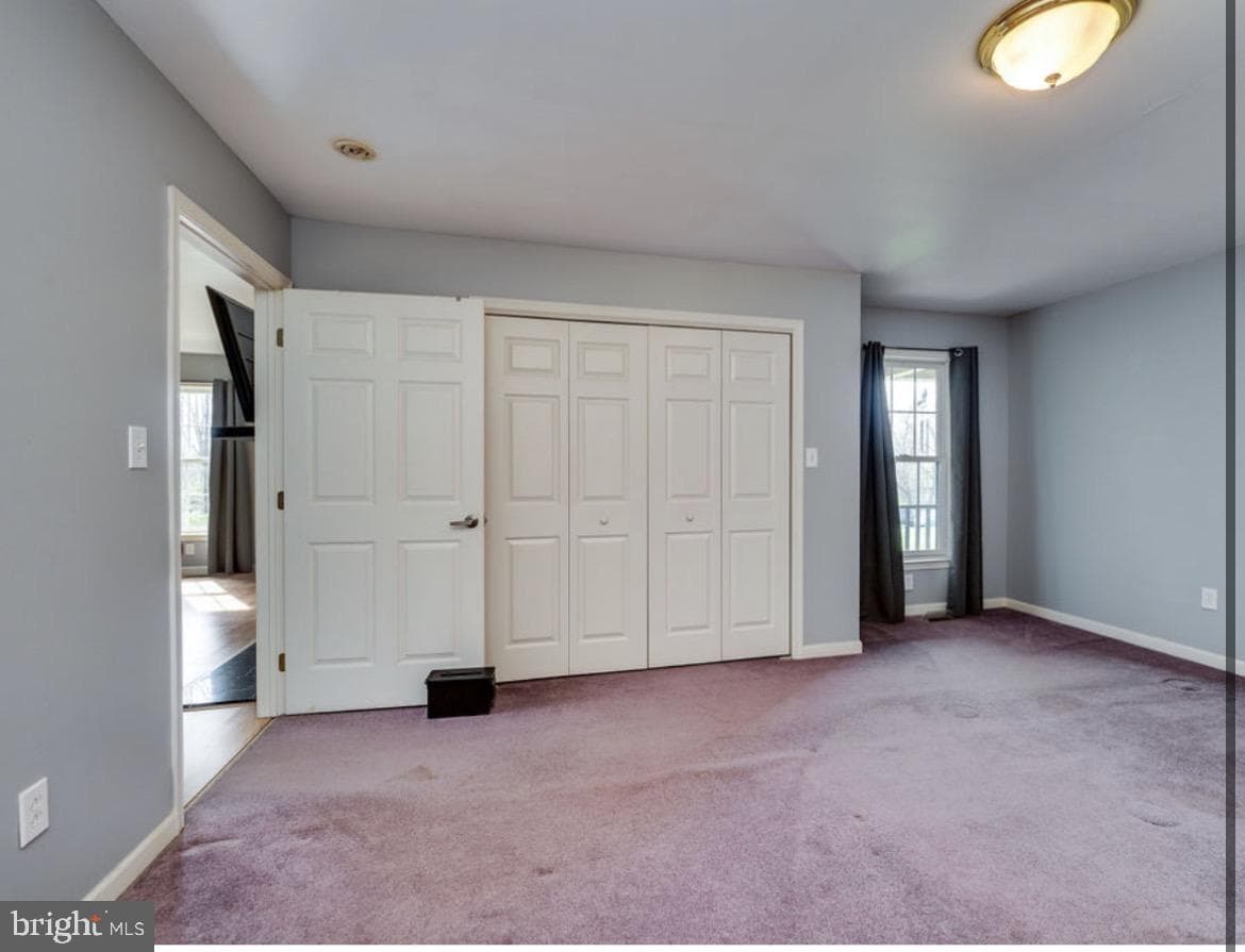 75 Clemens Road photo 45