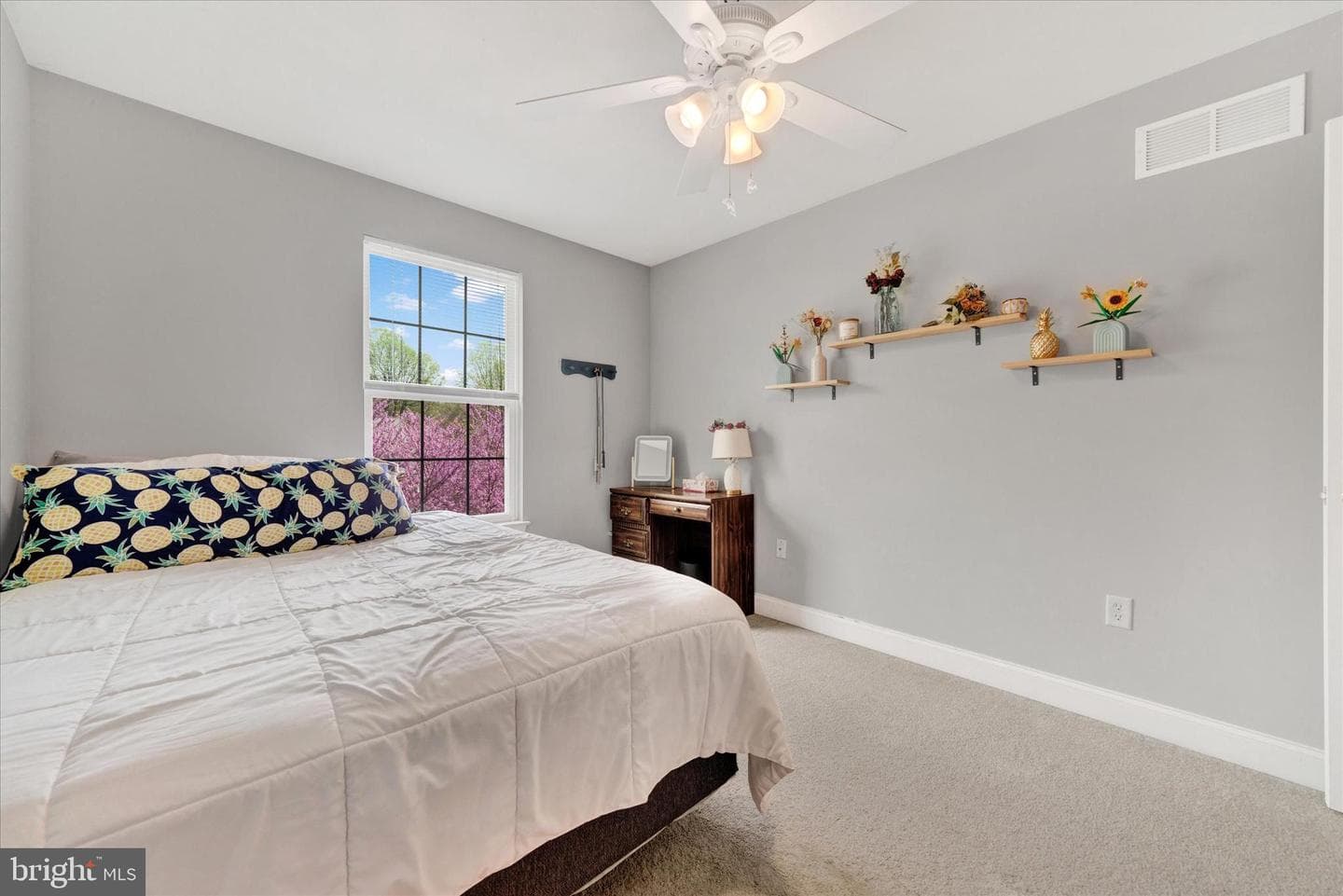 4 Kerryn Drive photo 24