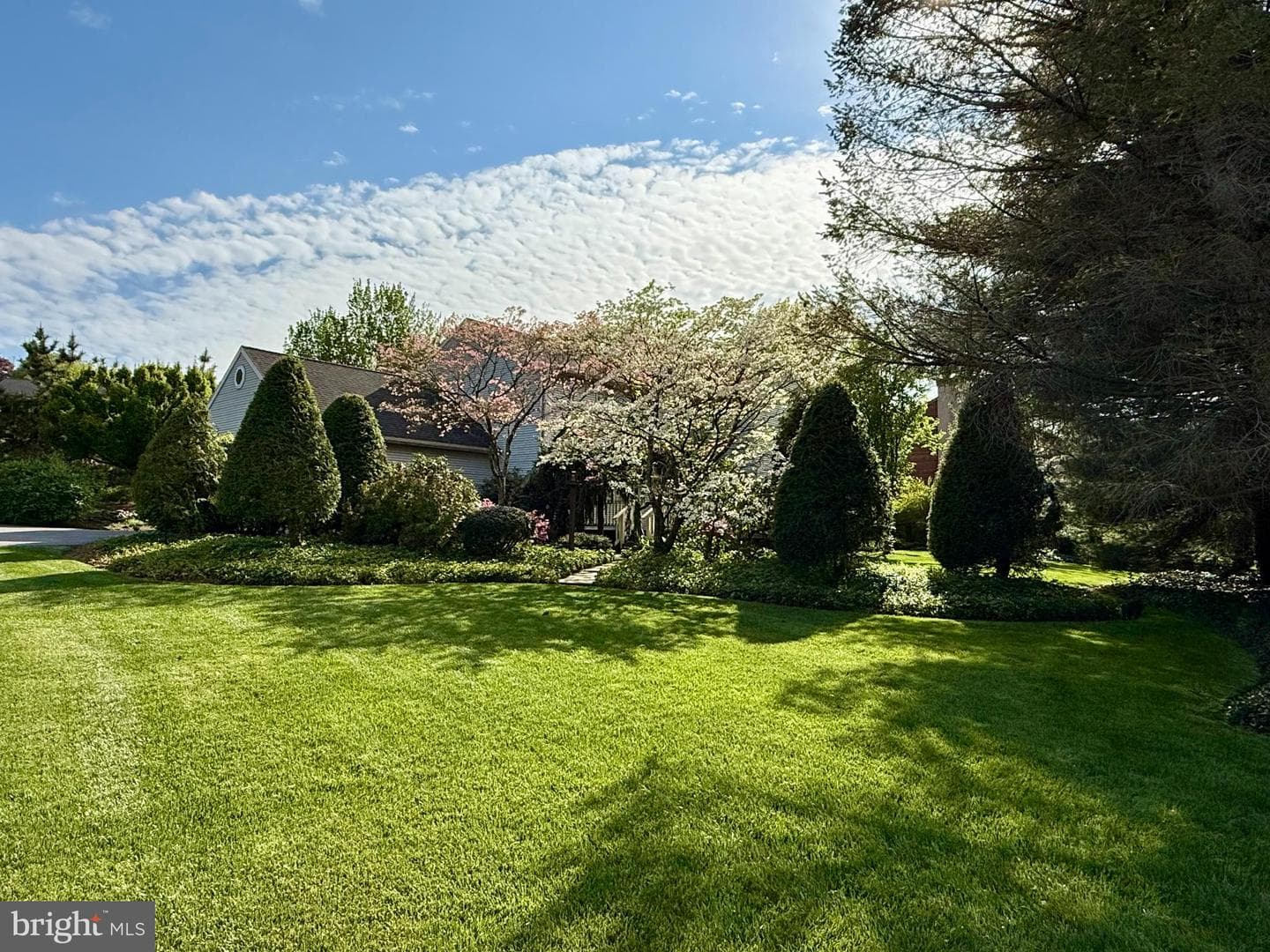 100 Deborah Drive photo 34