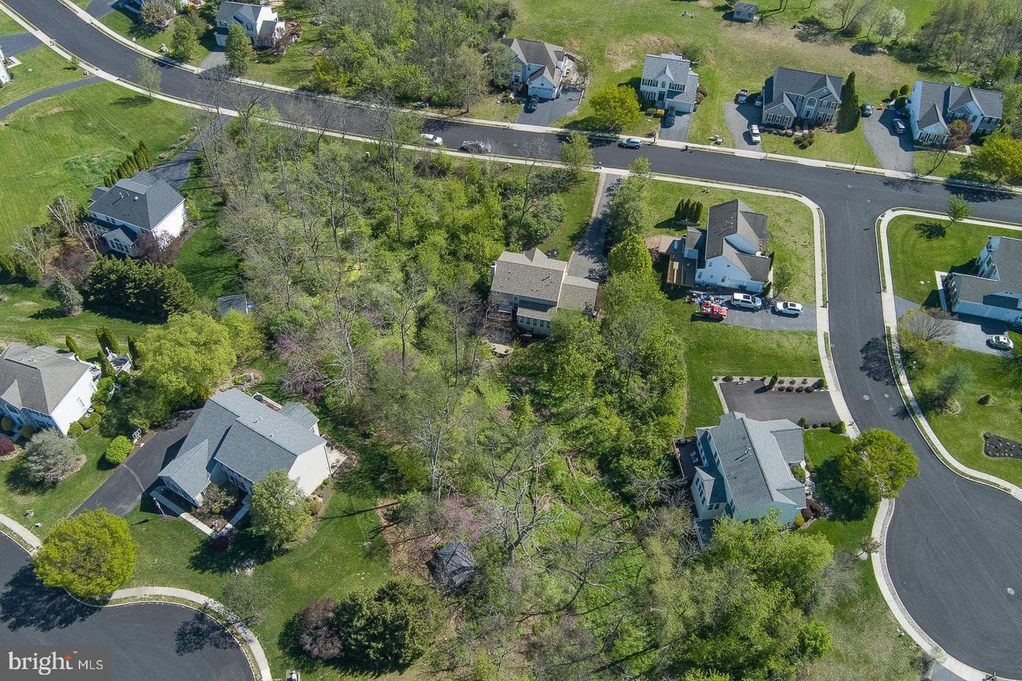 903 Maplewood Drive photo 49