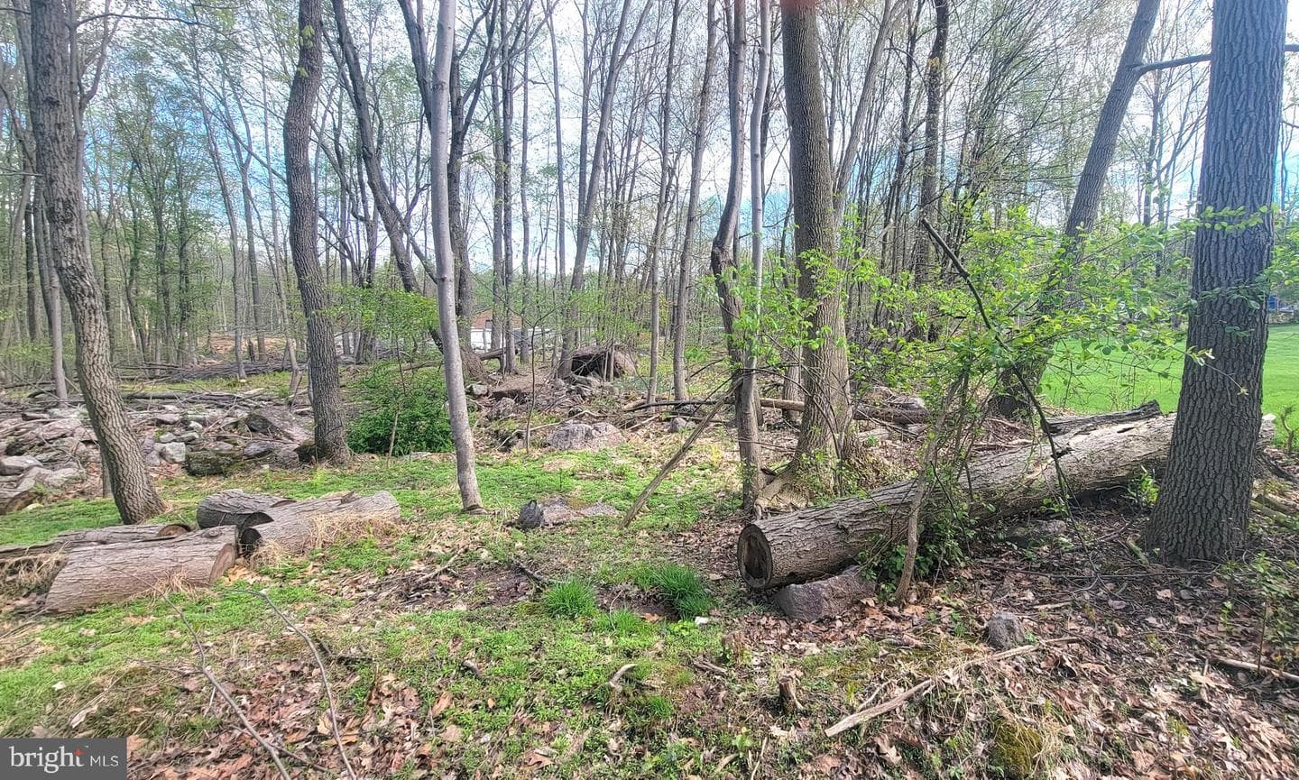 1313 Chestnut Hill Road photo 30