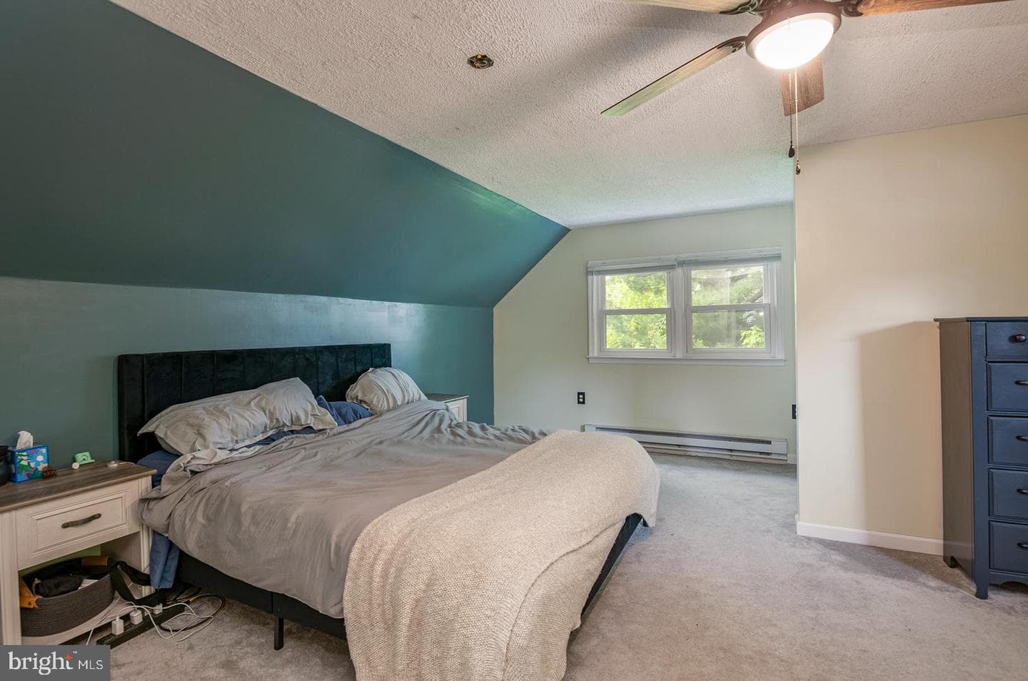 136 Bradley Avenue photo 14