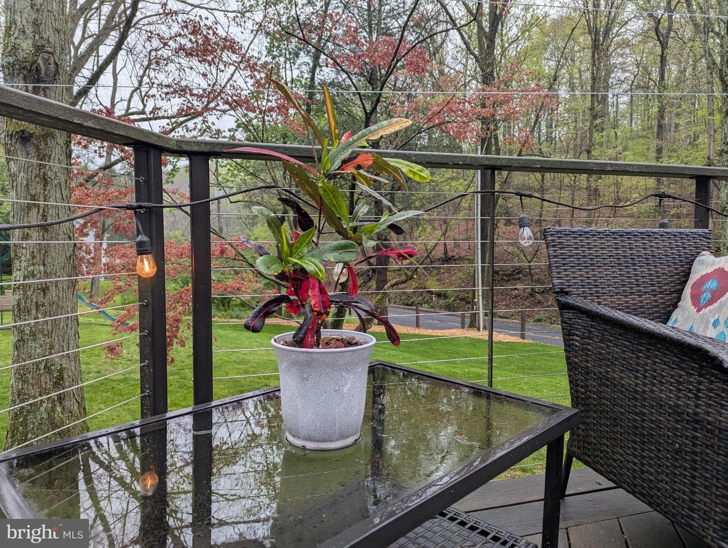 63 Hampshire photo 42