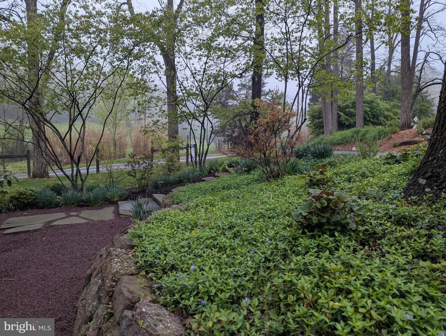 63 Hampshire photo 64