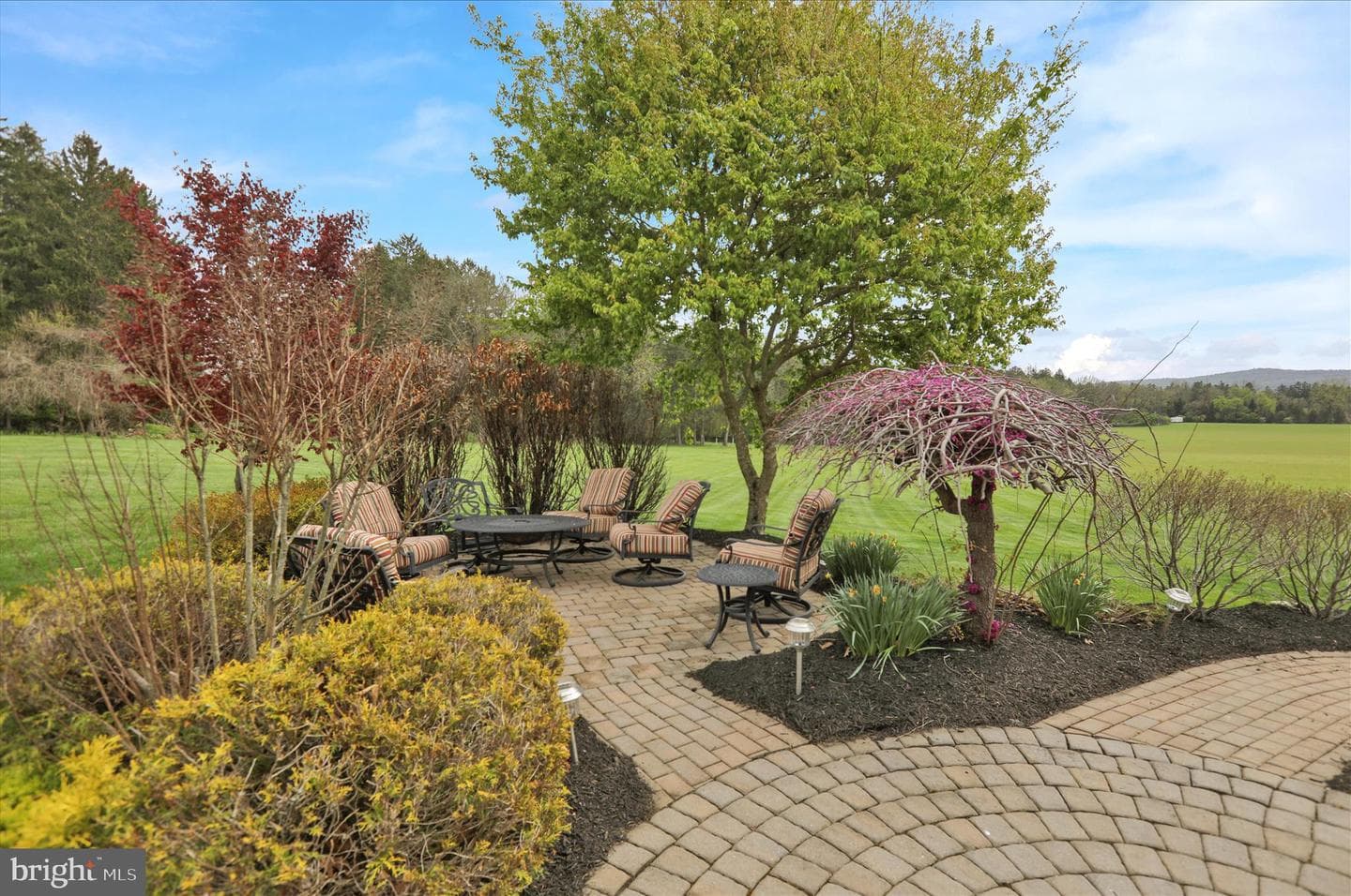 3 Beechwood Drive photo 56