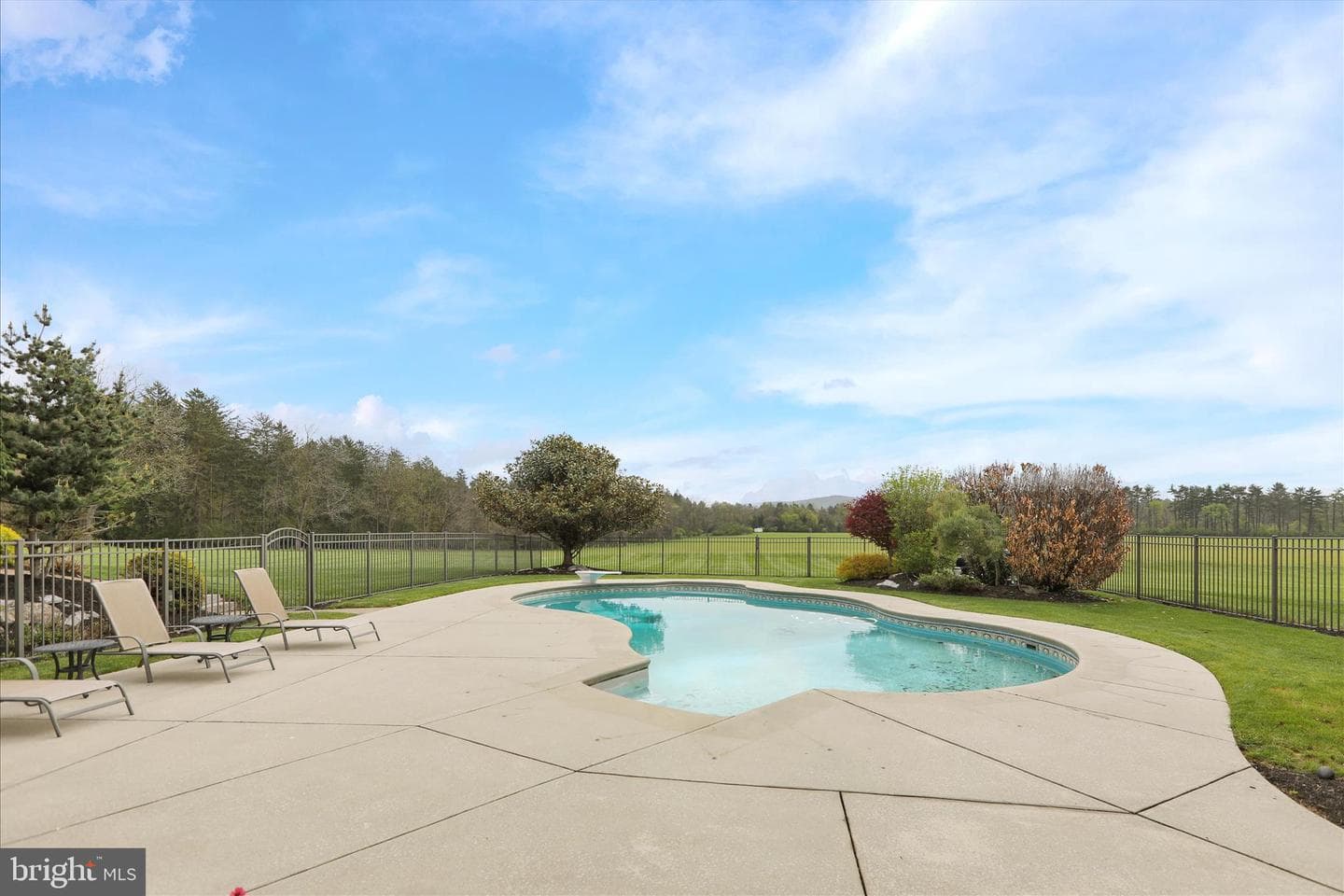 3 Beechwood Drive photo 58