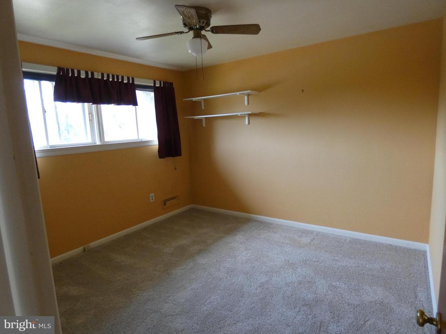 2703 Garfield Avenue photo 8