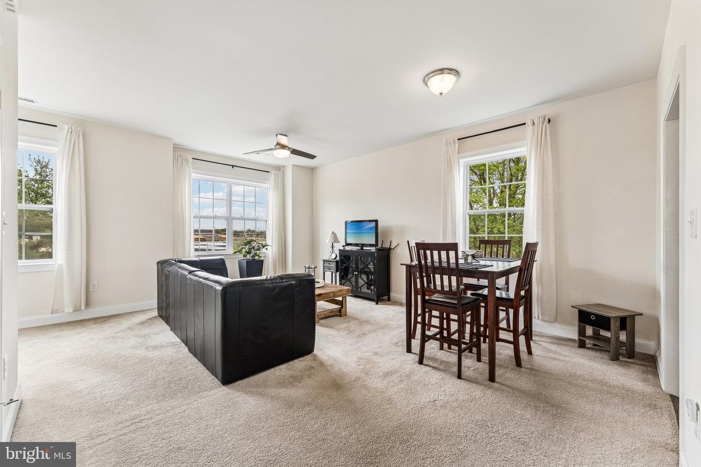 101 Dogwood Street #a-2 photo 3