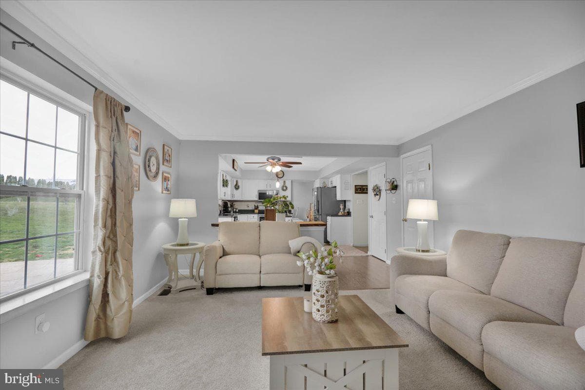 221 Oval Drive photo 19