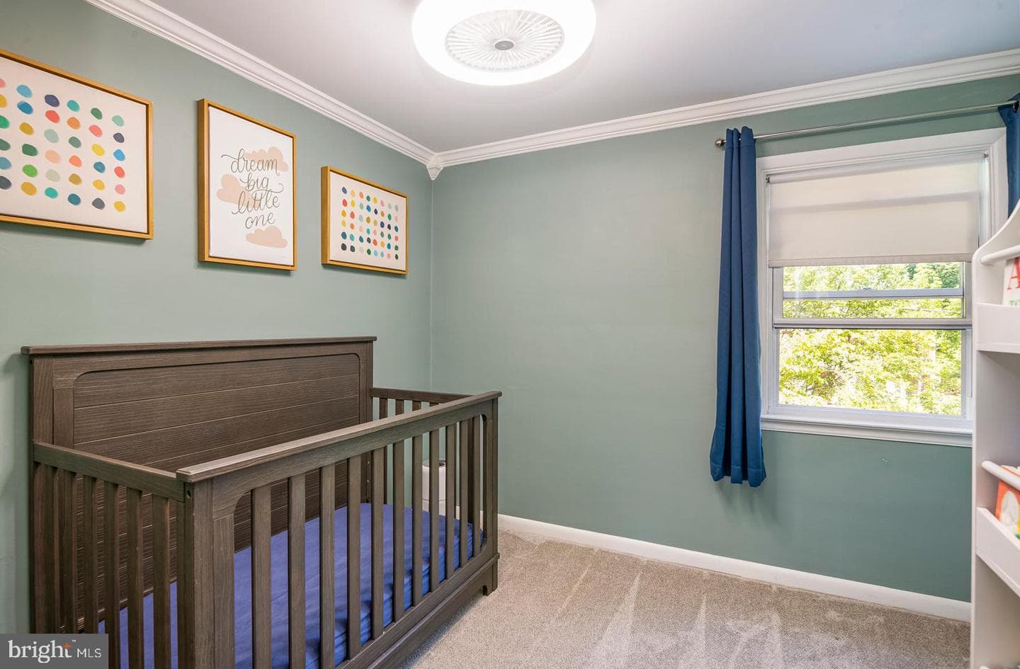12 Lawndale Road photo 15
