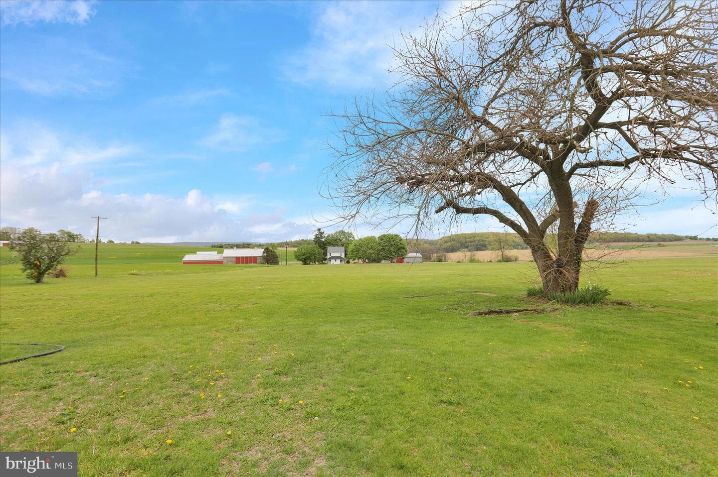 1714 Windsor Castle Road photo 31