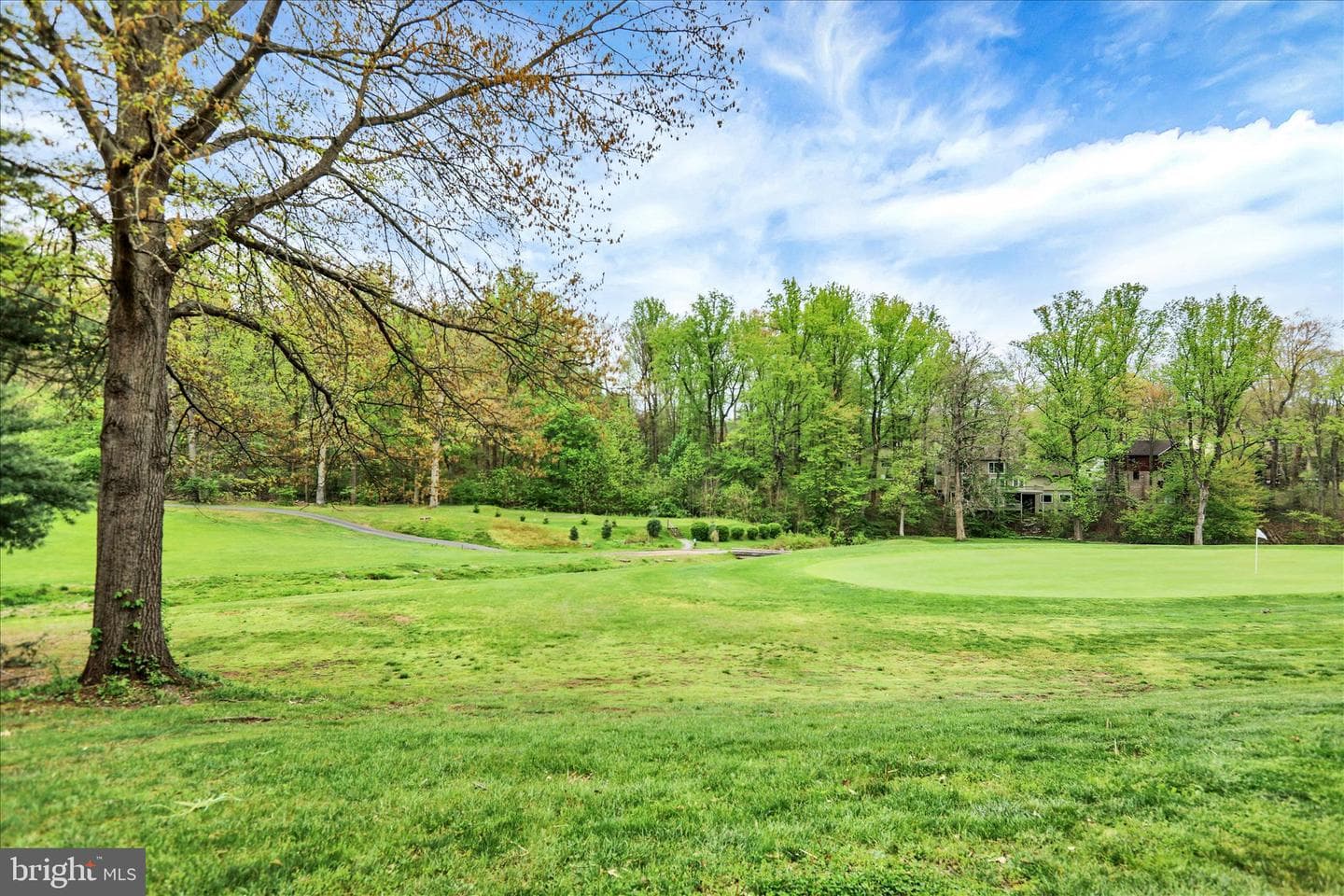 84 Winged Foot Drive photo 26