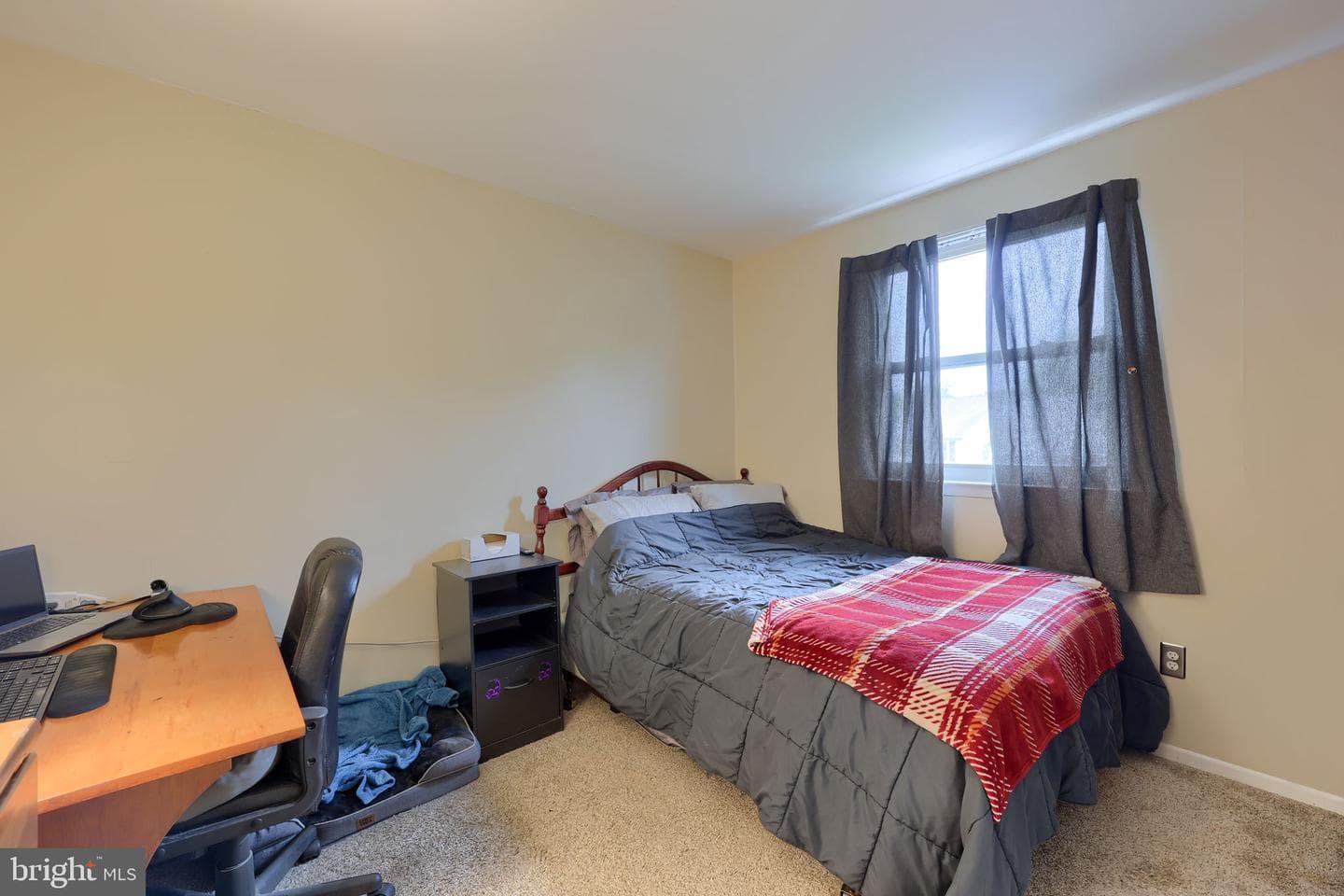 465 Moonflower Avenue photo 28
