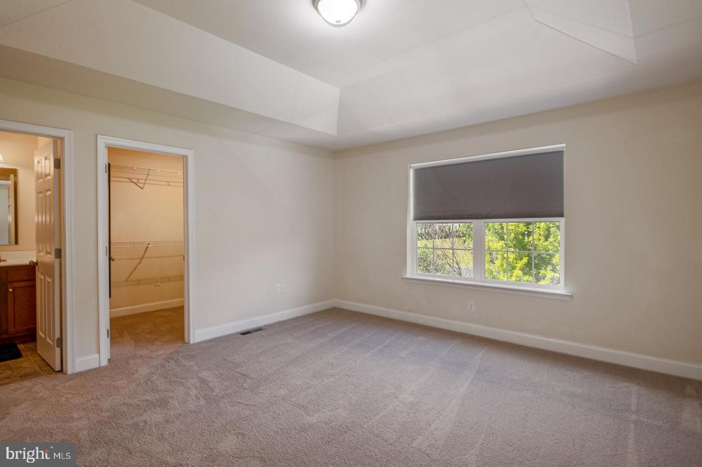 2041 Crown Mill Drive photo 17