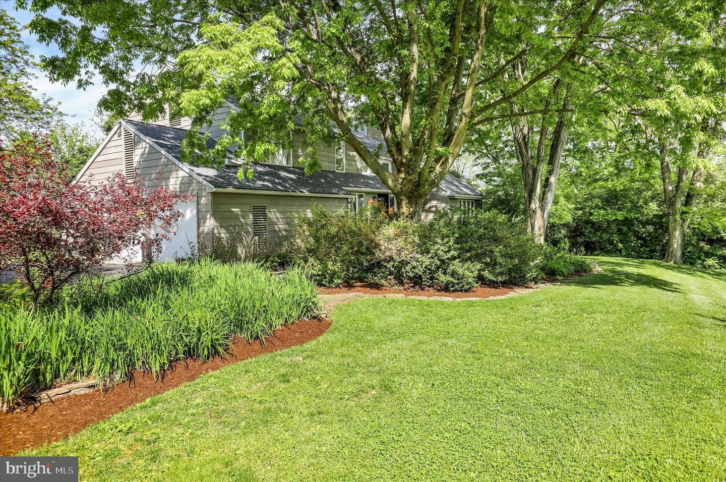 637 Scenic Drive photo 3