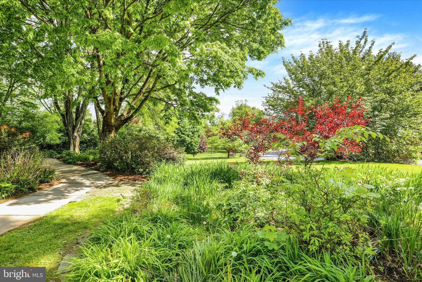 637 Scenic Drive photo 4